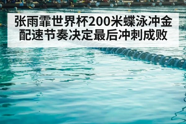 swimming pool competition lanes