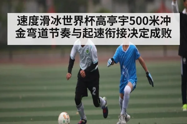 速度滑冰世界杯高亭宇500米冲金弯道节奏与起速衔接决定成败