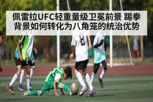 佩雷拉UFC轻重量级卫冕前景 踢拳背景如何转化为八角笼的统治优势